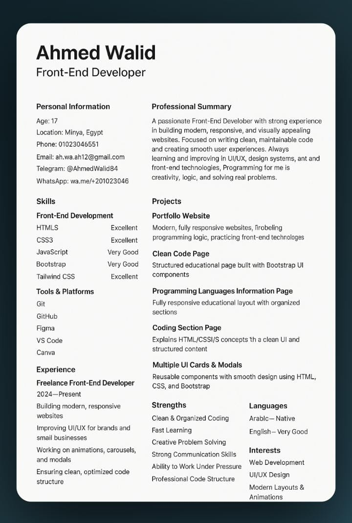 Ahmed Walid CV Preview